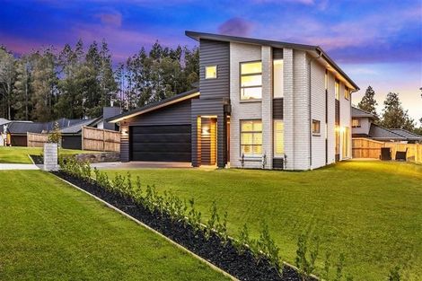 Photo of property in 12 Lisle Farm Drive, Pukekohe, 2120