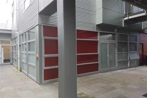 Photo of property in Hanson House, 27ua Hanson Street, Mount Cook, Wellington, 6021