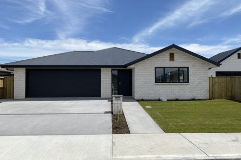 Photo of property in 20 Grimwood Street, Woodend, 7610