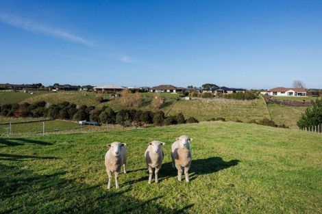 Photo of property in 31 Wapiti Avenue, Feilding, 4775