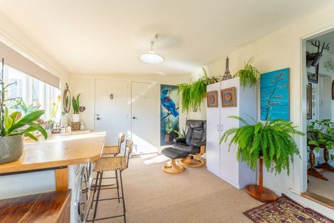 Photo of property in 58 Guise Street, Temuka, 7920