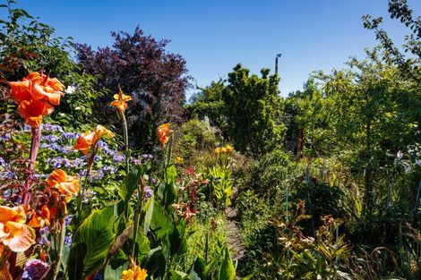 Photo of property in 21 Drake Street, Feilding, 4702