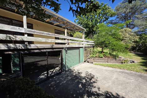 Photo of property in 61 Hauroa Road, Whataupoko, Gisborne, 4010
