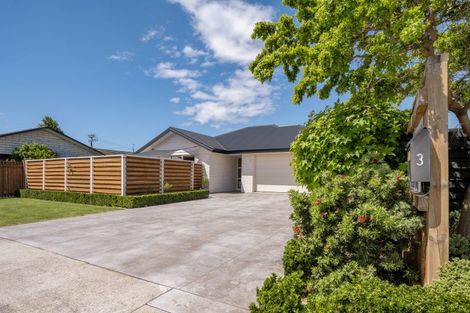 Photo of property in 3 Kilworth Place, Witherlea, Blenheim, 7201