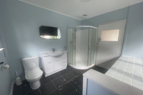Photo of property in 102 Tirau Street, Putaruru, 3411