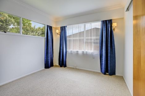 Photo of property in 207b Heale Street, Thames, 3500