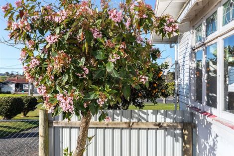 Photo of property in 97 Hakanoa Street, Huntly, 3700