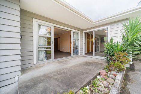 Photo of property in 14 Pascal Street, Palmerston North, 4410