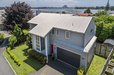 Photo of property in 334b Maungatapu Road, Maungatapu, Tauranga, 3112
