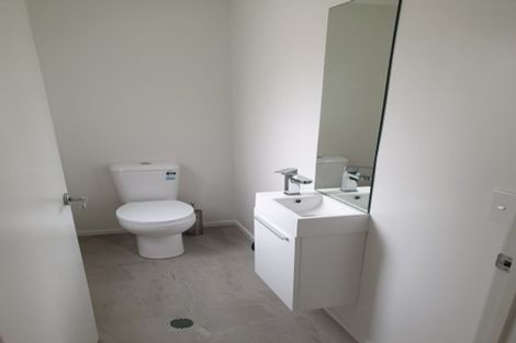 Photo of property in 22u2 Thomson Avenue, Dinsdale, Hamilton, 3204