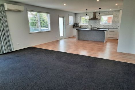 Photo of property in 100 Mathers Road, Hoon Hay, Christchurch, 8025