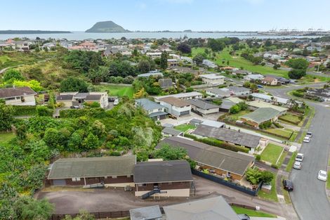 Photo of property in 22a Balmoral Terrace, Otumoetai, Tauranga, 3110