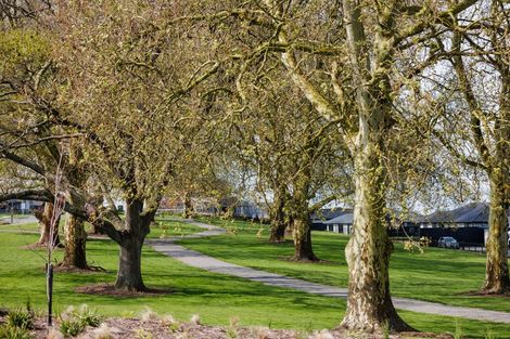 Photo of property in 16 Evans Street, Morrinsville, 3300