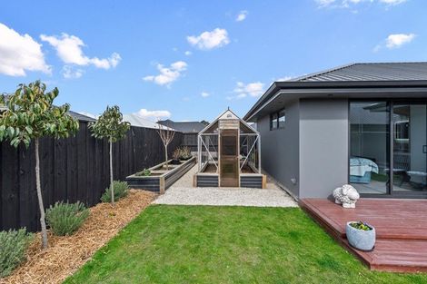 Photo of property in 11 Kotua Street, Woodend, 7610