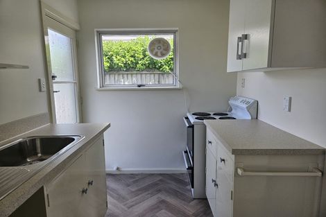 Photo of property in 19 Purchas Street, St Albans, Christchurch, 8014