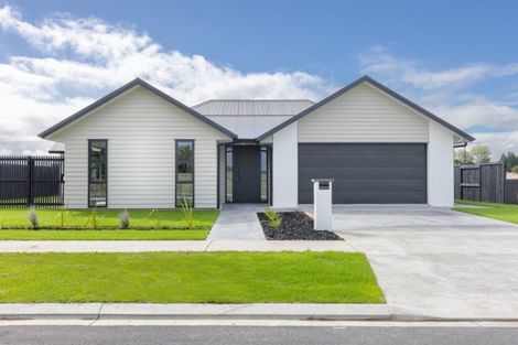 Photo of property in 30 Whakahaumako Road, Leamington, 3495