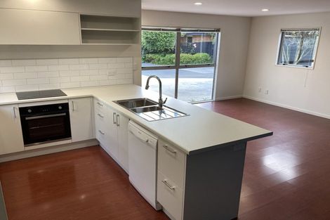 Photo of property in 55 Winton Street, St Albans, Christchurch, 8014