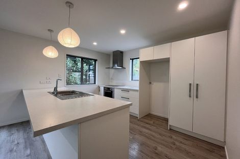 Photo of property in 120a Nursery Road, Phillipstown, Christchurch, 8011