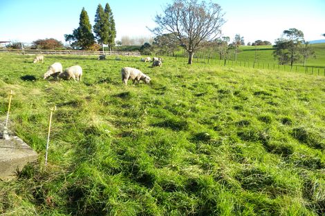 Photo of property in 432 Pakura Street, Te Awamutu, 3800