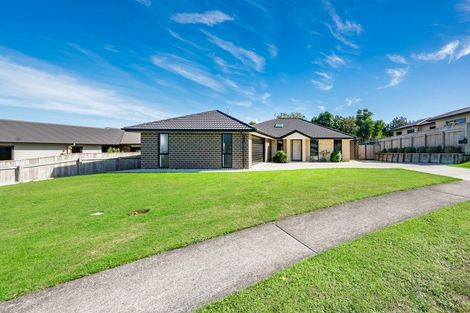 Photo of property in 1 Sudeng Street, Levin, 5510