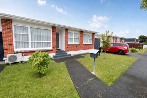 Photo of property in 23 Essex Street, Levin, 5510