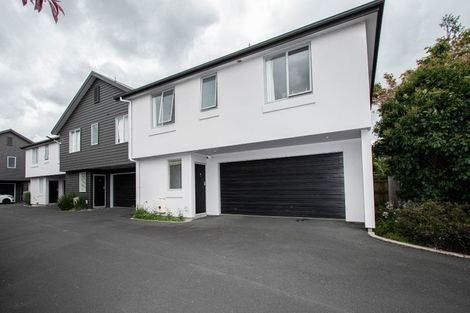 Photo of property in 6u1 Page Place, Hamilton East, Hamilton, 3216