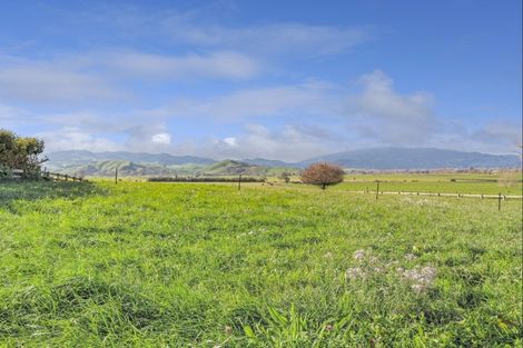 Photo of property in 3074a Cambridge Road, Rotoorangi, Cambridge, 3495