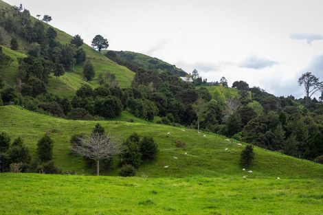 Photo of property in 71 Mangotahi Road, Thames, 3577