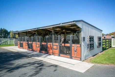 Photo of property in 273 Kaipaki Road, Ohaupo, 3881