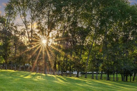 Photo of property in 713 Ararimu Valley Road, Helensville, 0882
