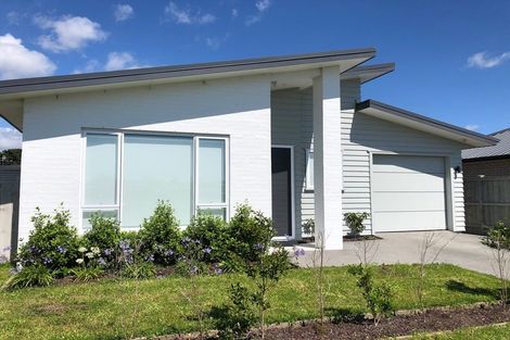 Photo of property in 80 Te Napi Drive, Takanini, 2112