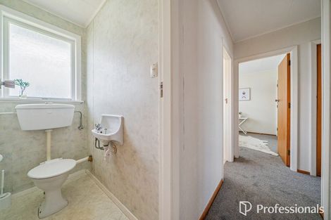 Photo of property in 52a Pretoria Street, Hutt Central, Lower Hutt, 5010