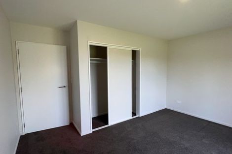 Photo of property in 238 Whitecliffs Road, Whitecliffs, 7673