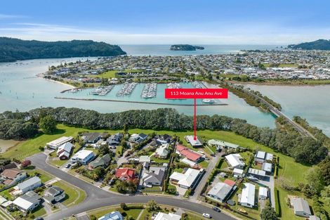 Photo of property in 113 Moana Anu Anu Avenue, Whangamata, 3620