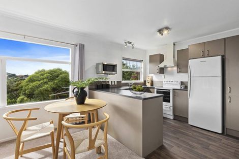 Photo of property in 27u3 Winston Street, Crofton Downs, Wellington, 6035