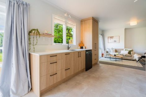 Photo of property in 17 Brown Street, Hamilton East, Hamilton, 3216
