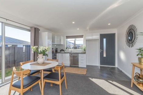 Photo of property in 87a Tiro Tiro Road, Levin, 5510