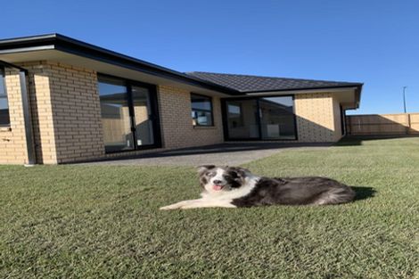 Photo of property in 60 Nethercote Way, Rolleston, 7614