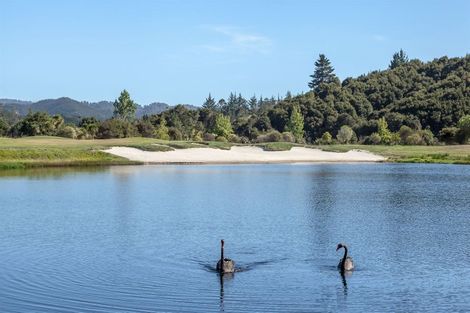 Photo of property in 45 Pinehurst Drive, Pauanui, Hikuai, 3579