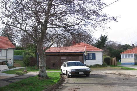 Photo of property in 15 Plymouth Street, Roslyn, Palmerston North, 4414