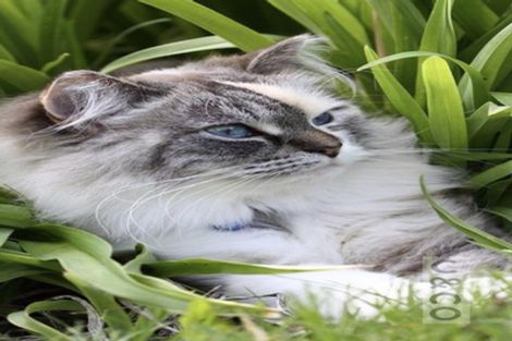 Photo of property in 5 Norglen Lane, Riverhead, 0820