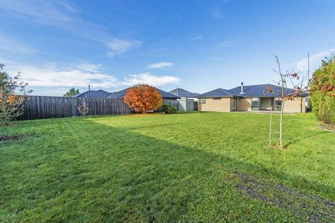 Photo of property in 5 Newbrook Terrace, Darfield, 7510