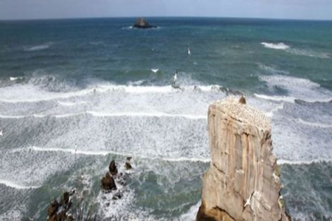 Photo of property in 728 Peak Road, Helensville, 0875