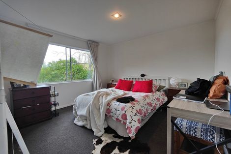 Photo of property in 164b Raroa Road, Aro Valley, Wellington, 6012