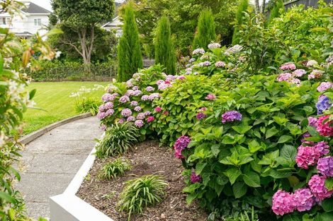 Photo of property in 41 Everest Street, Khandallah, Wellington, 6035