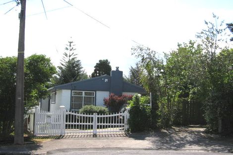 Photo of property in 21 Hinau Street, New Lynn, Auckland, 0600