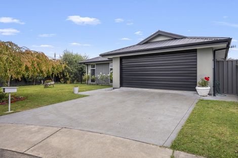 Photo of property in 5 Begley Place, Frimley, Hastings, 4120