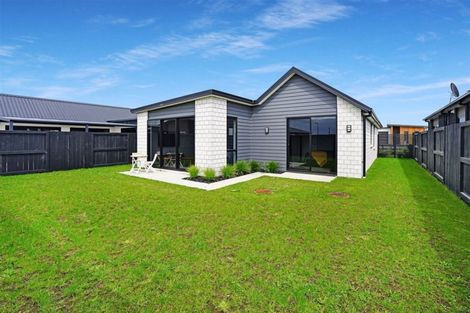 Photo of property in 16 Naismith Avenue, Chartwell, Hamilton, 3210