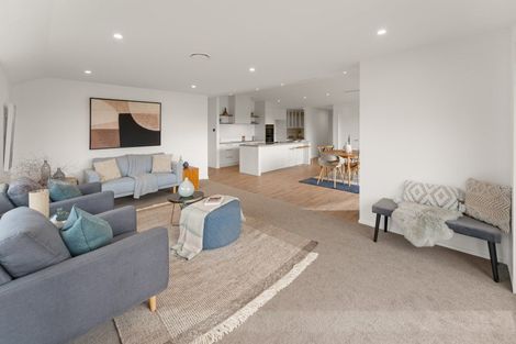 Photo of property in 55 Oakdale Grove, Richmond, 7020