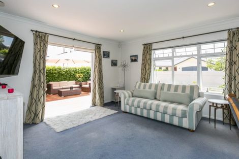 Photo of property in 41 Palmbrook Avenue, Havelock North, 4130